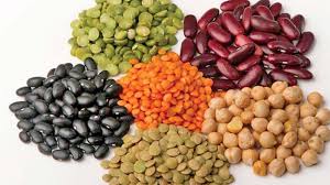 Duties under scanner as pulses area stagnant Duties under scanner as pulses area stagnant